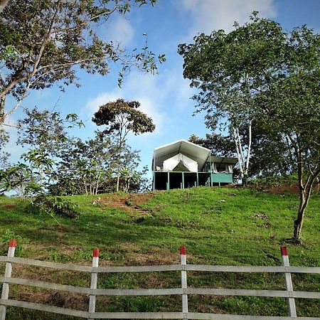 Finca Tres Equis - Farm And Forest ภายนอก รูปภาพ