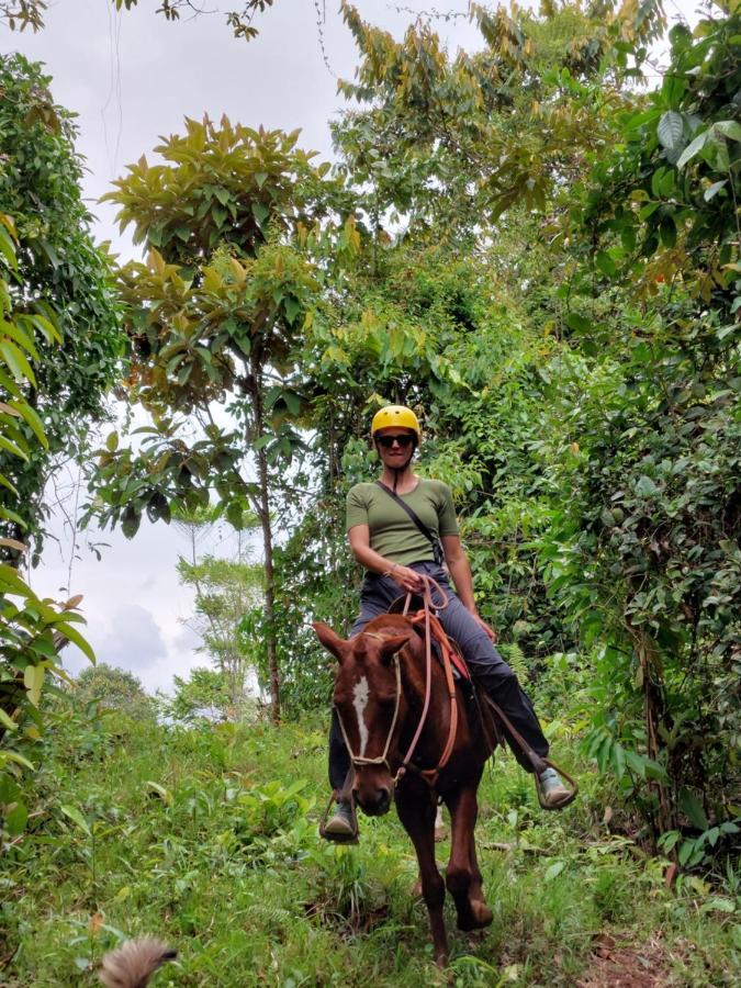Finca Tres Equis - Farm And Forest ภายนอก รูปภาพ